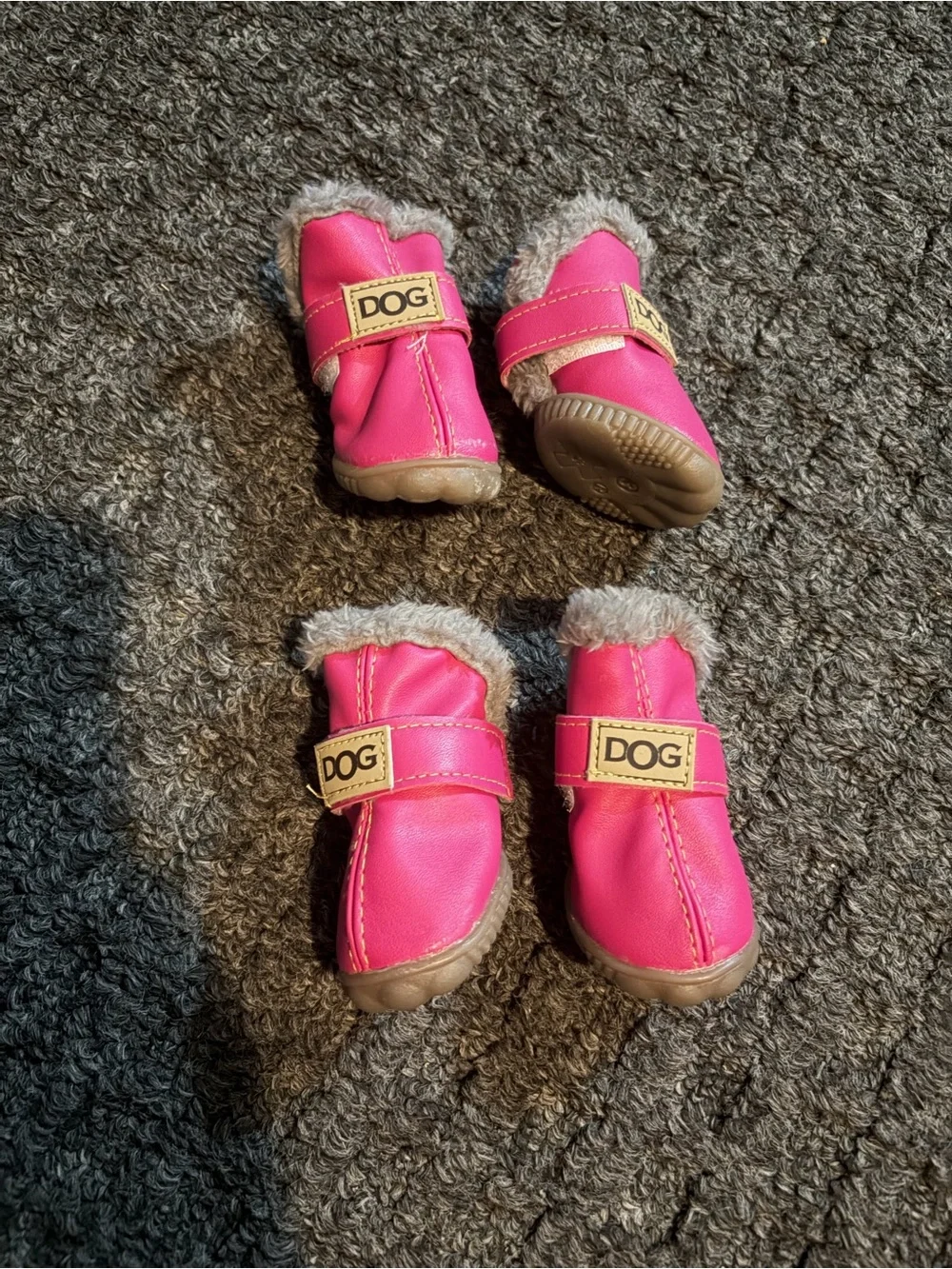 Zeeko dog winter boots.